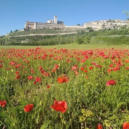 CASETTA delle ROSE Assisi Esterno foto
