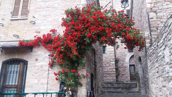 CASETTA delle ROSE Assisi Esterno foto