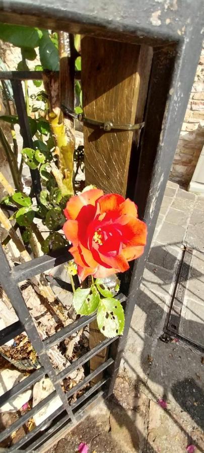 CASETTA delle ROSE Assisi Esterno foto